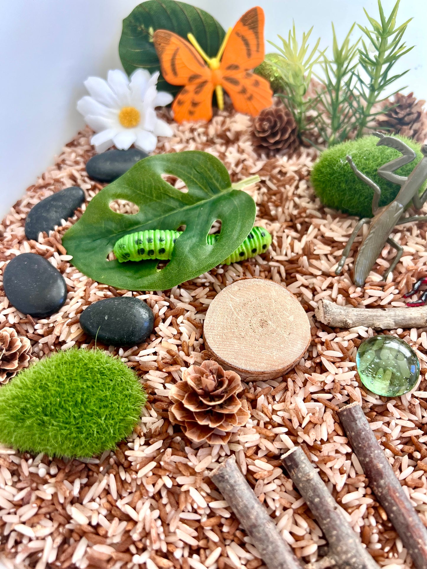 Bug Adventure Sensory Bin