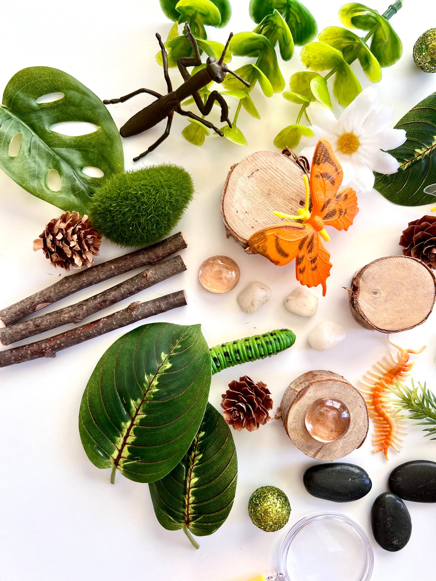 Bug Adventure Sensory Bin