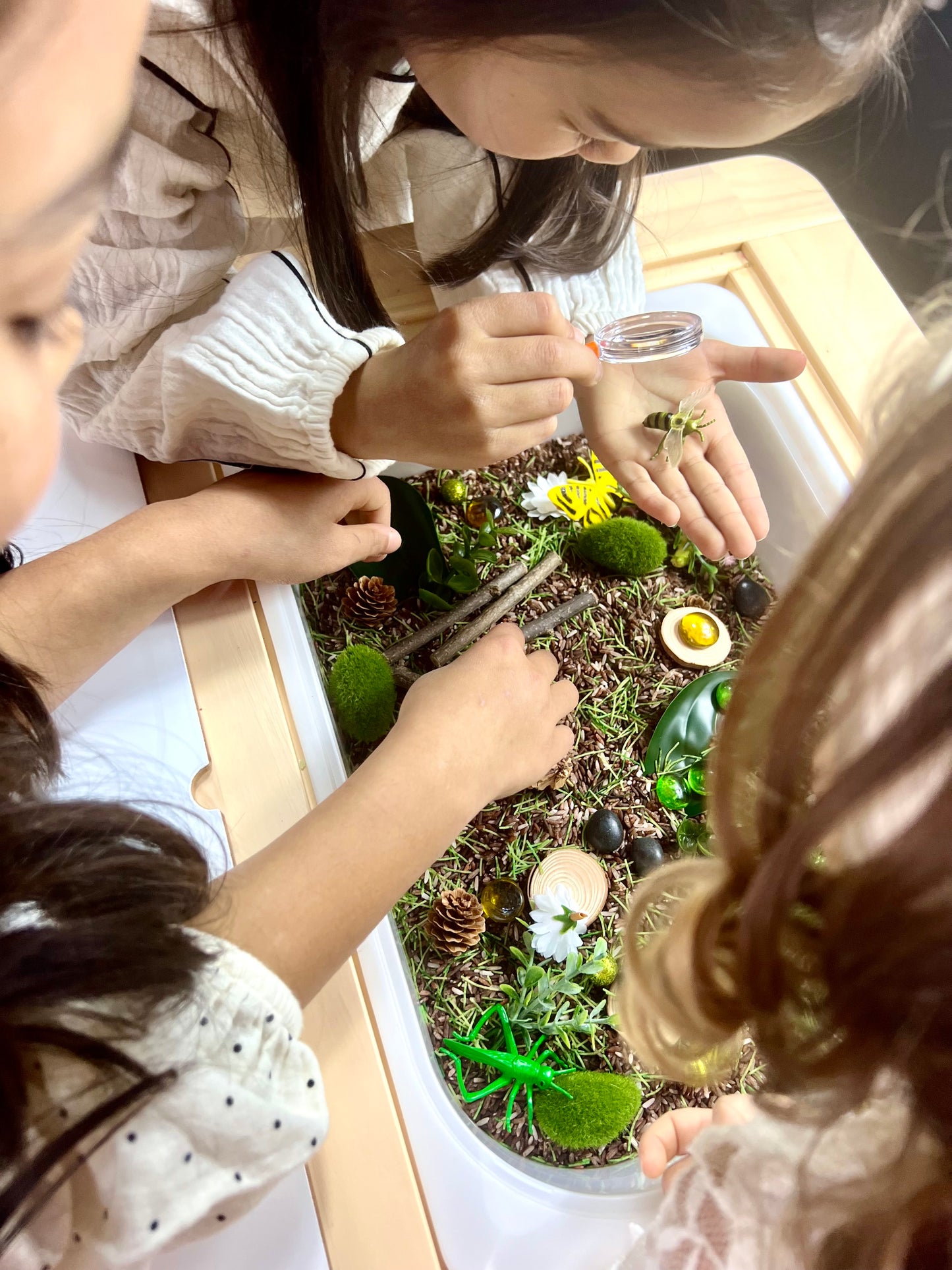 Bug Adventure Sensory Bin