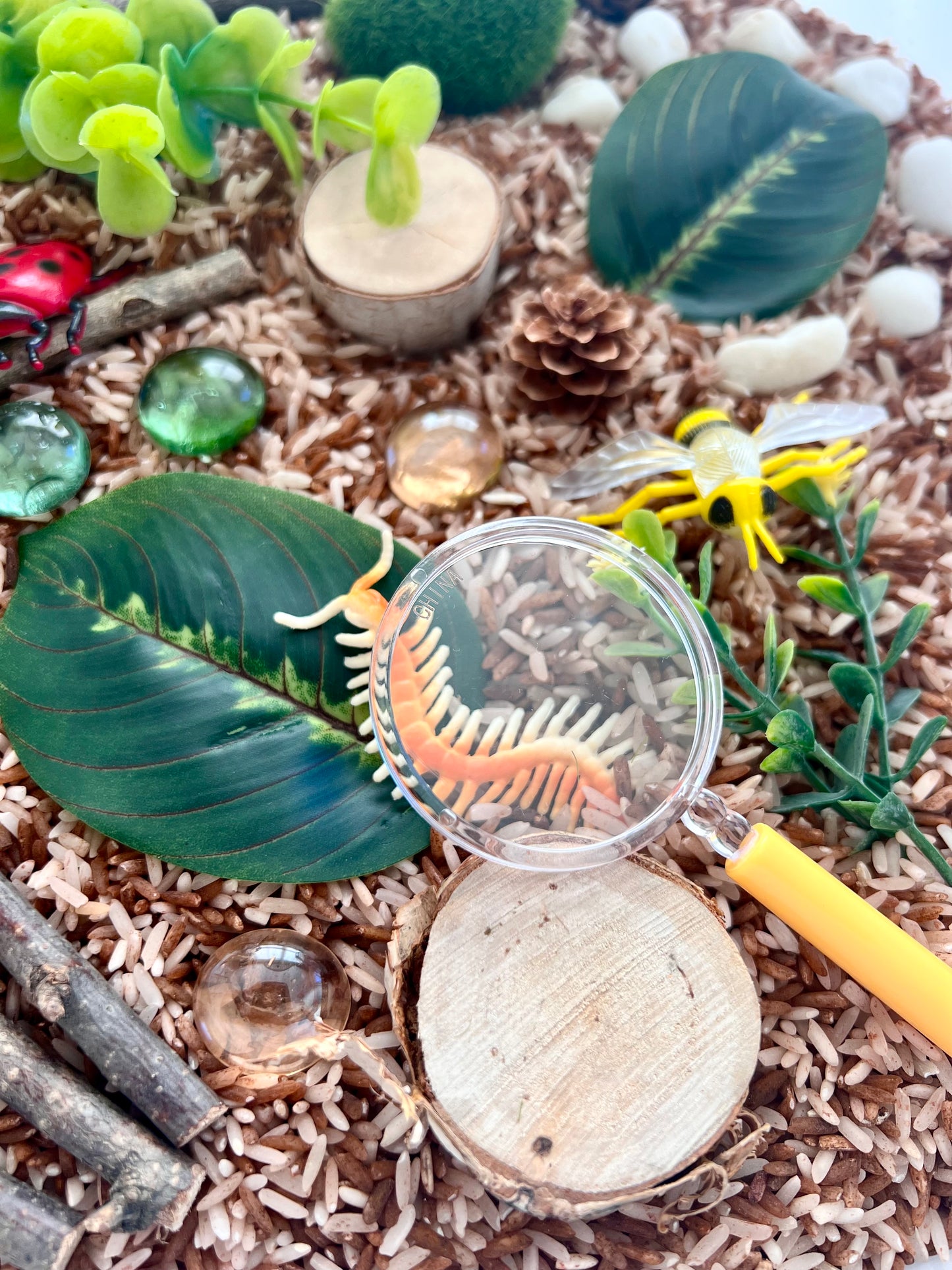 Bug Adventure Sensory Bin