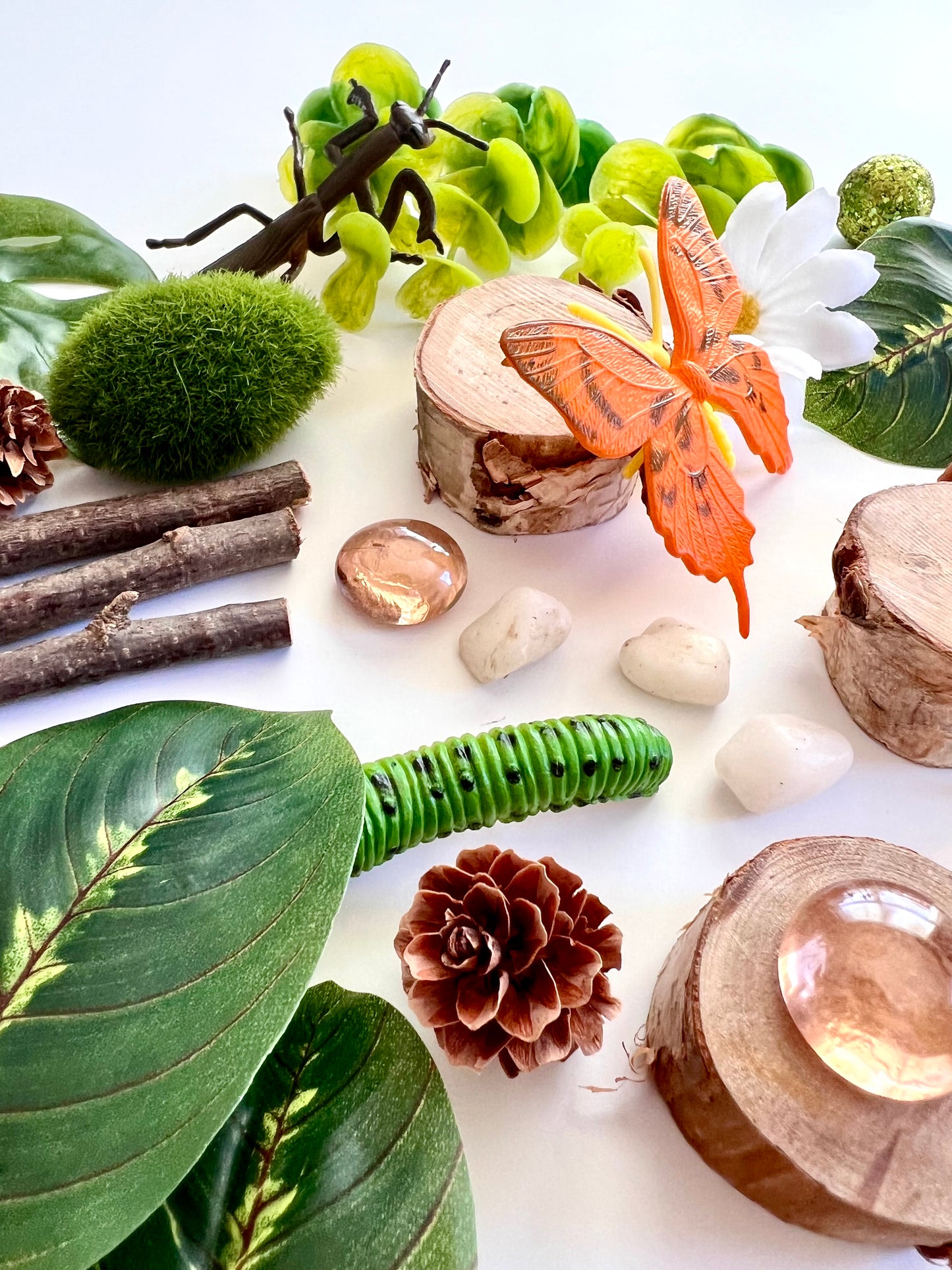 Bug Adventure Sensory Bin