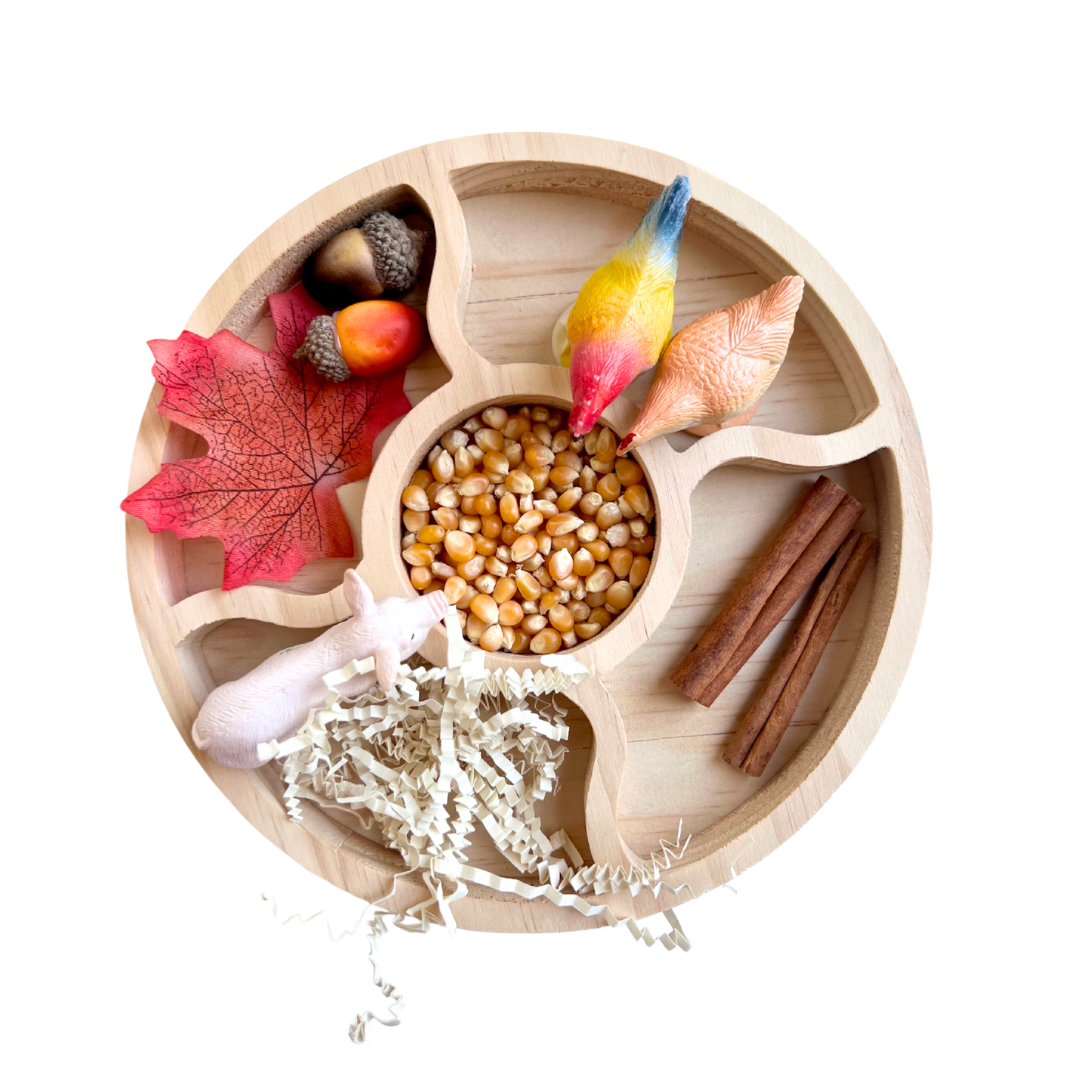 Sensory Sorting Tray