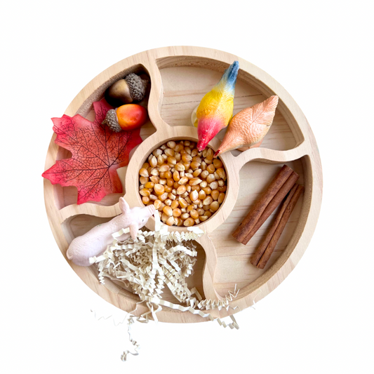 Sensory Sorting Tray