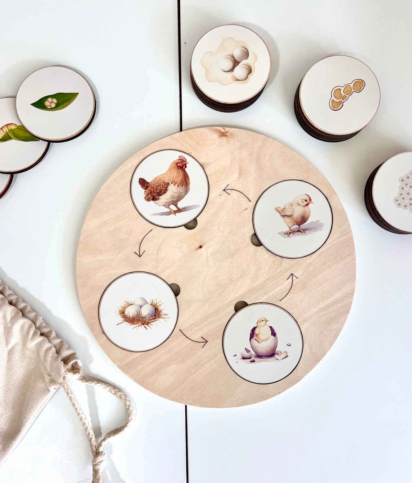 Educational Wooden Animal Life Cycle Montessori Puzzle Toy