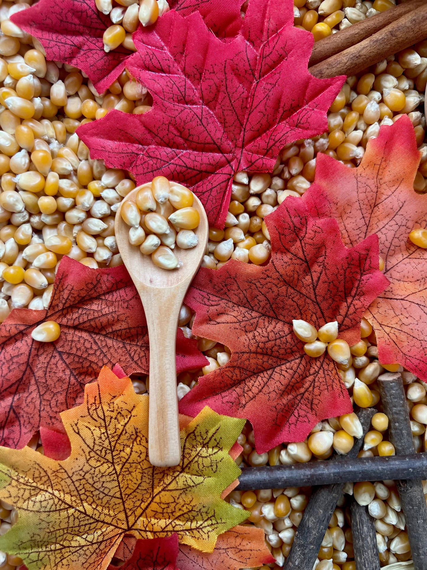 Wood Spoon
