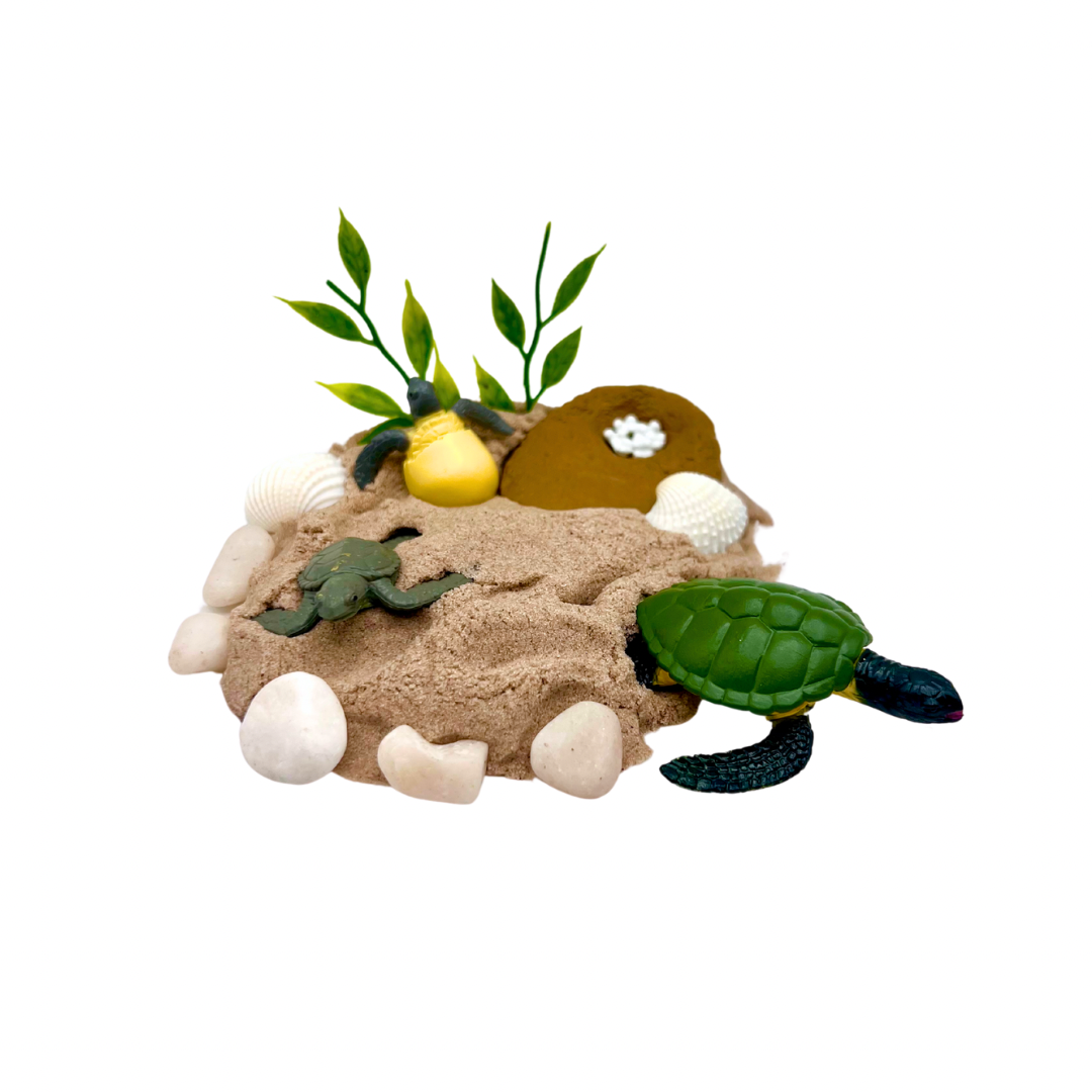 Sea Turtle Life Cycle Play Sand Kit