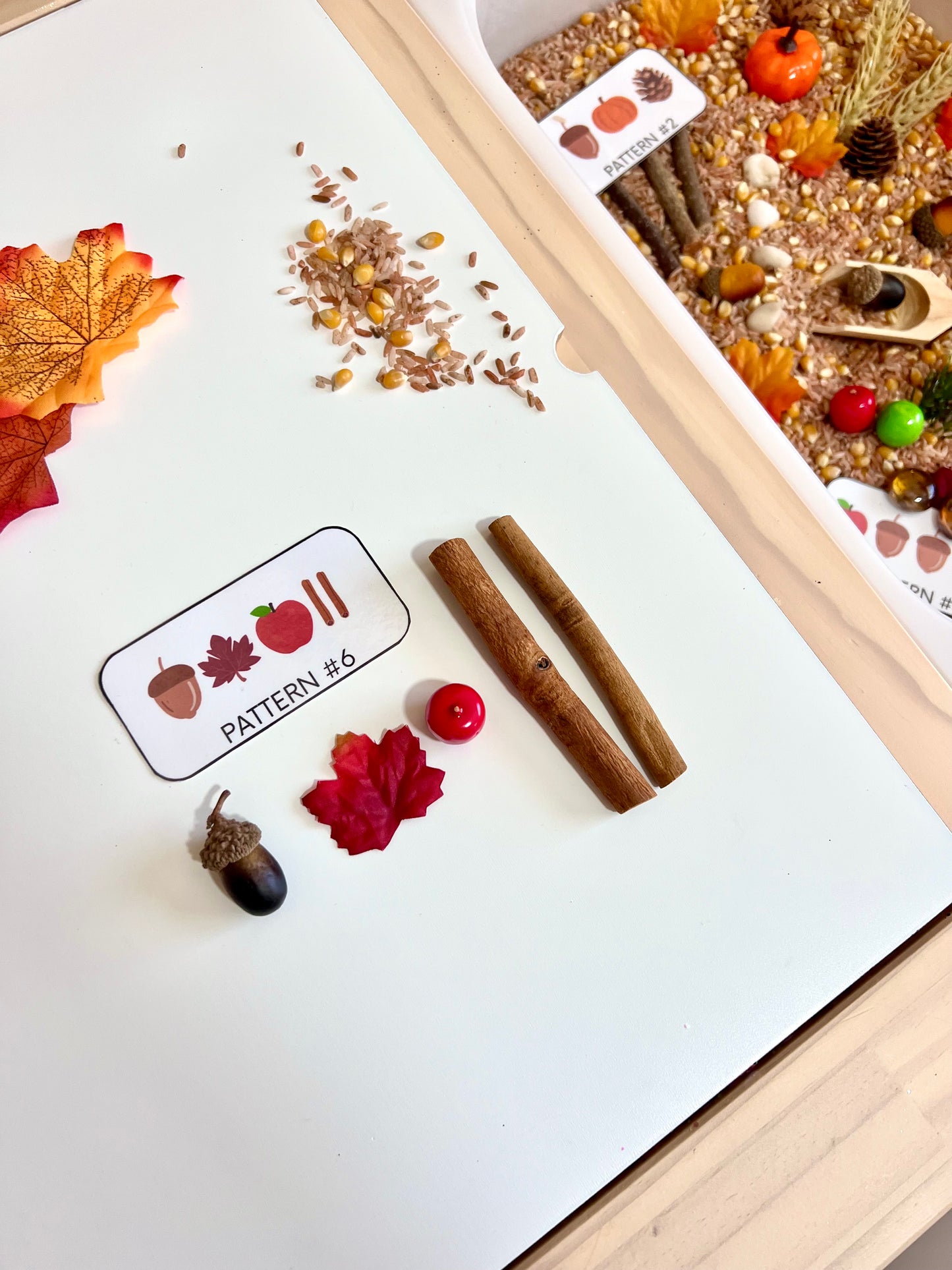 Educational Autumn Activity Box - Sensory Play for Kids