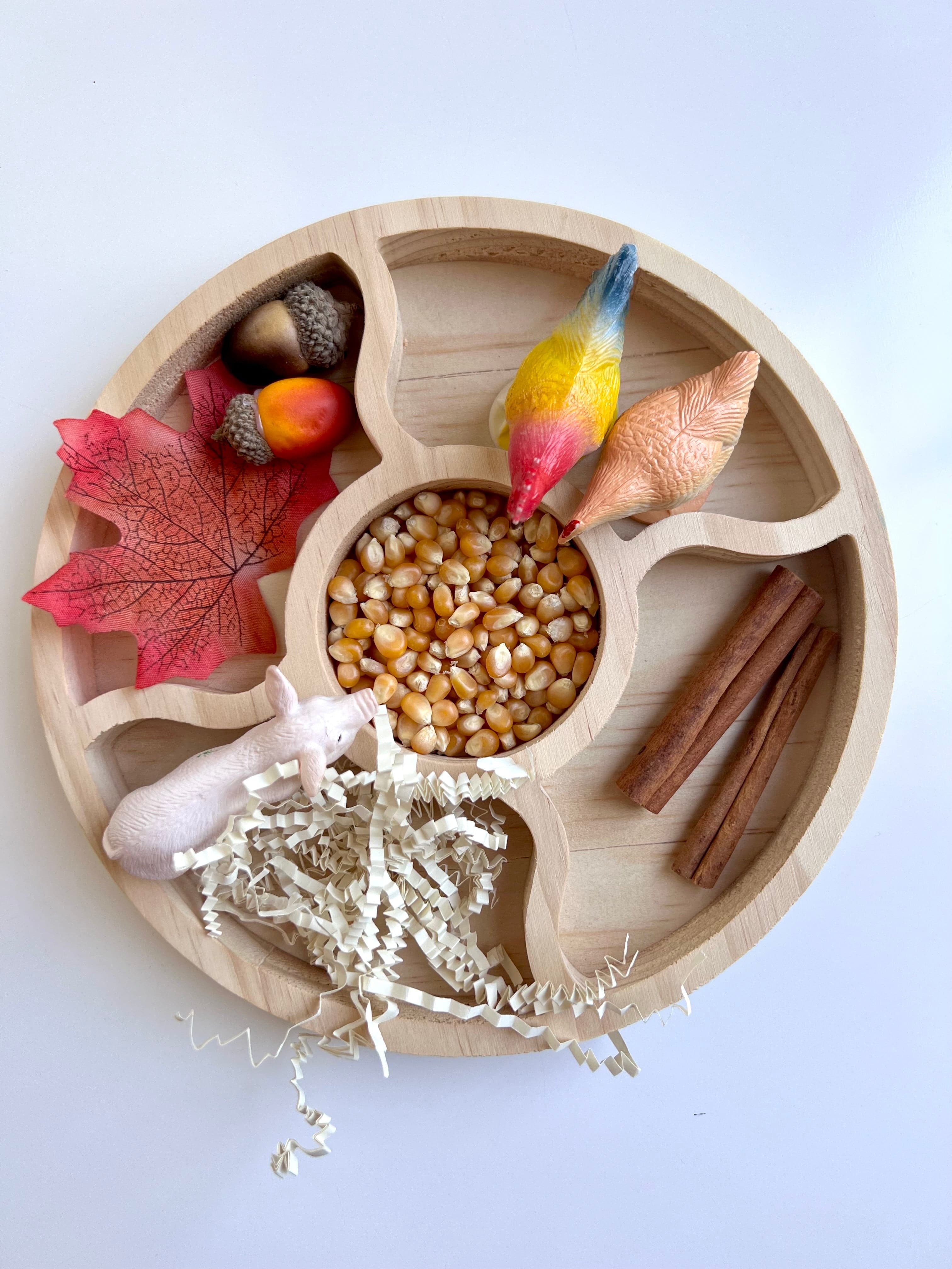 Sensory Sorting Tray Playful Little Minds Sensory Sorting Tray Playful Little Minds