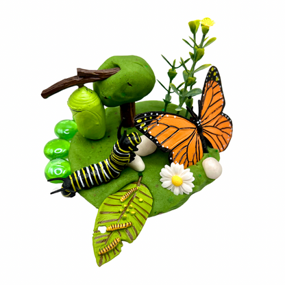 Butterfly Life Cycle Playdough Kit