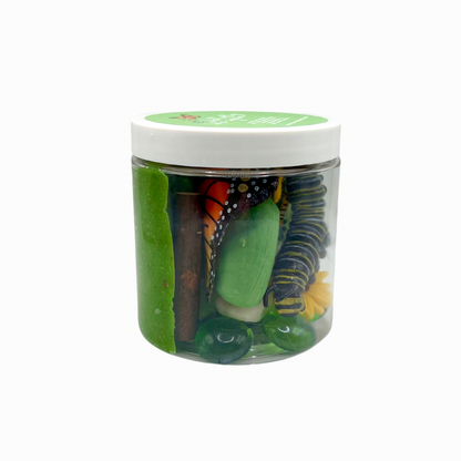 Butterfly Life Cycle Playdough Kit