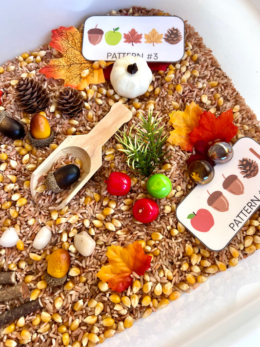 Educational Autumn Activity Box - Sensory Play for Kids