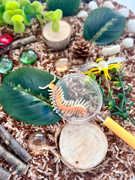 Backyard Bugs Sensory Bin