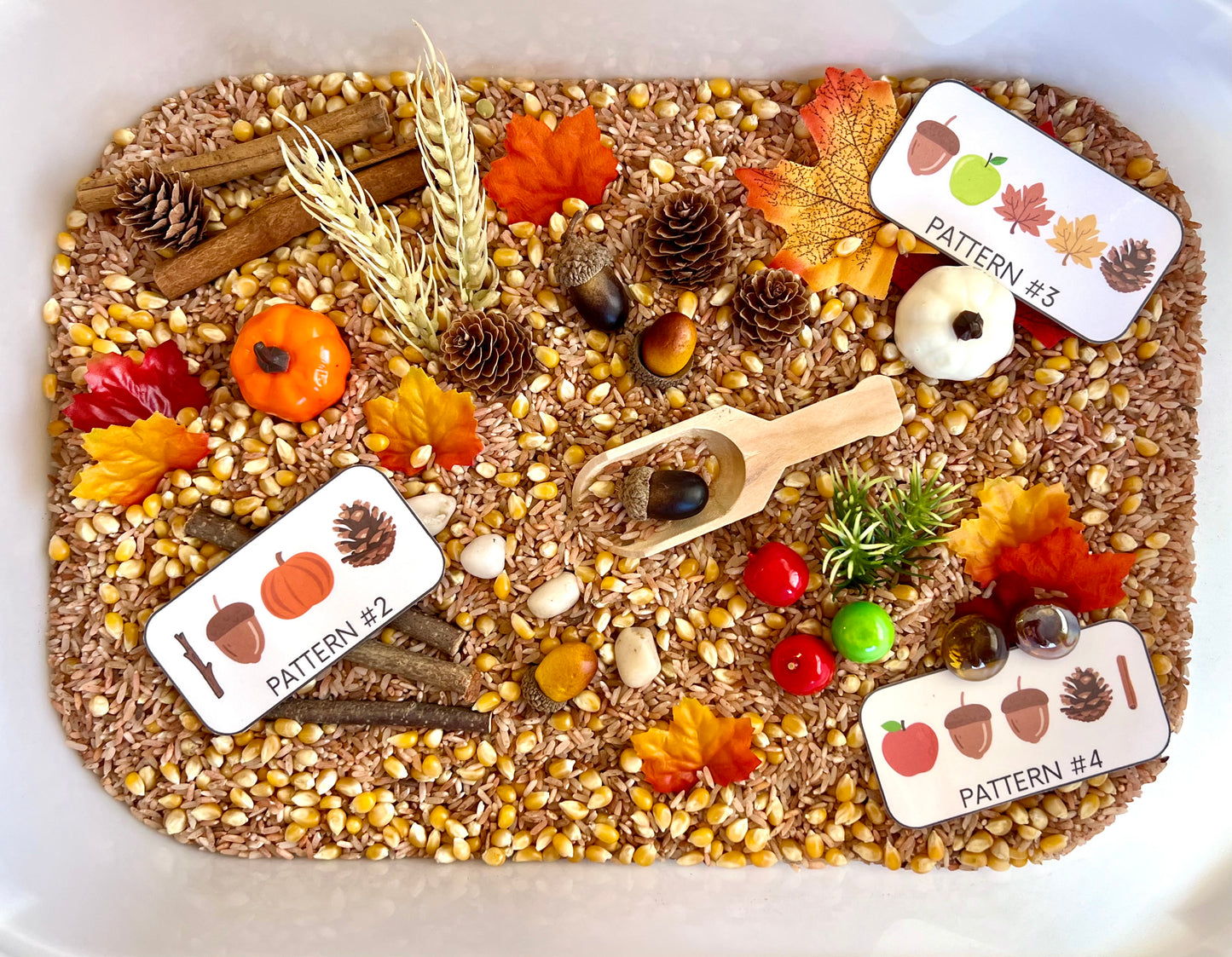 Educational Autumn Activity Box - Sensory Play for Kids