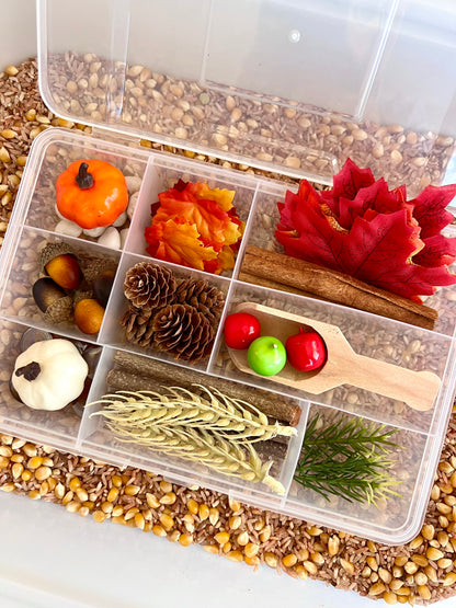 Educational Autumn Activity Box - Sensory Play for Kids