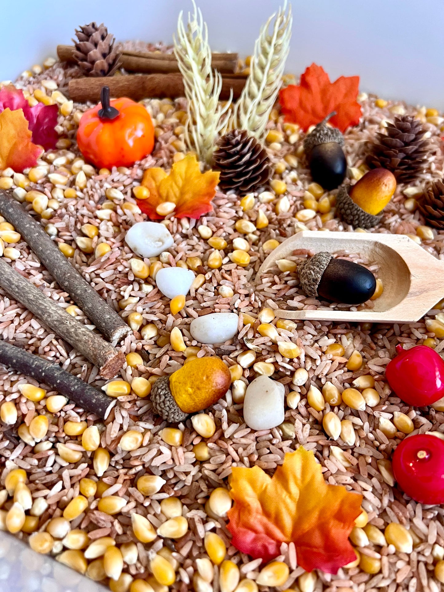 Educational Autumn Activity Box - Sensory Play for Kids