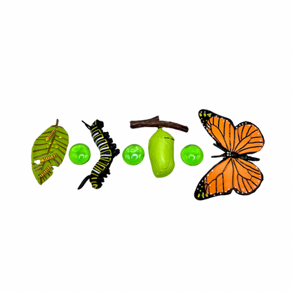 Butterfly Life Cycle Playdough Kit