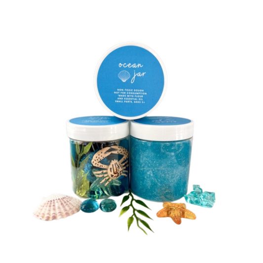 Ocean Animal Playdough Sensory Toy Kit